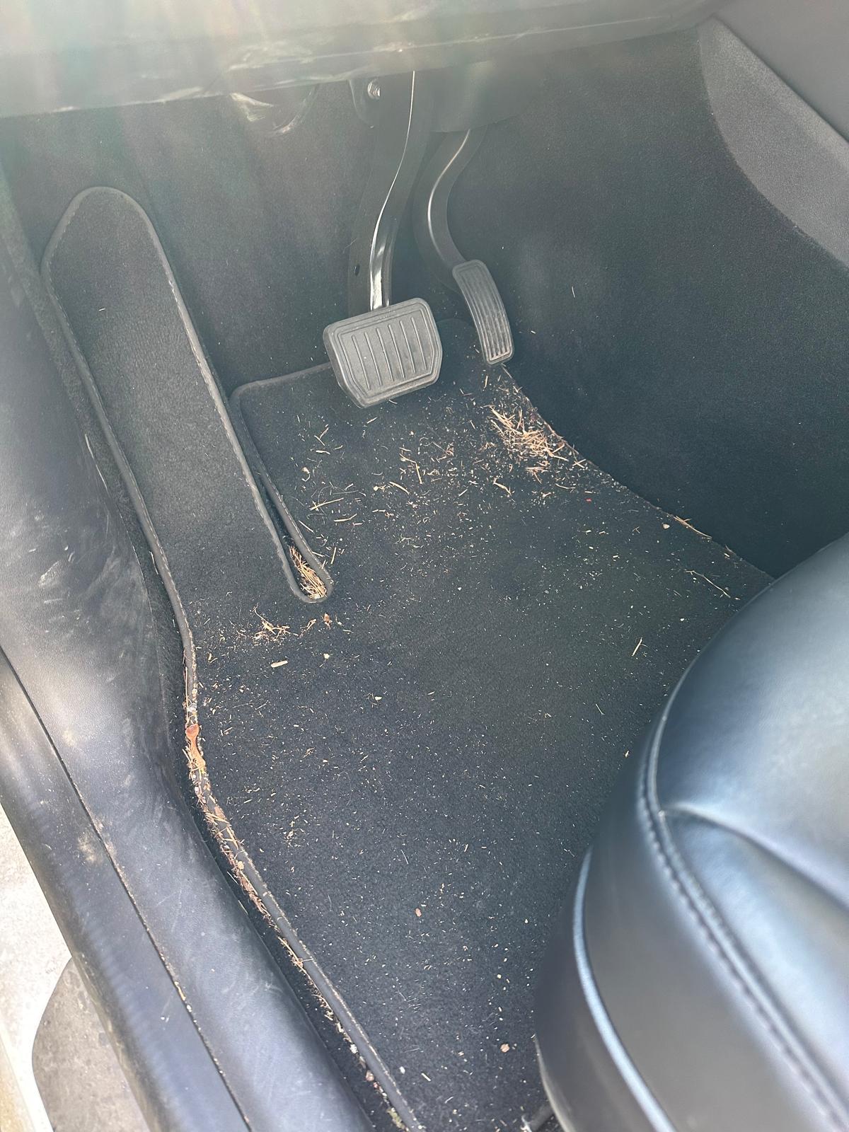 Vehicle 1 seat trim before detailing
